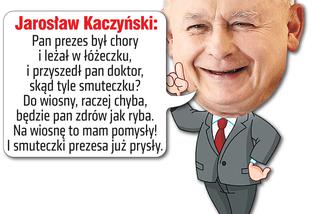 Szopka Kaczyński 