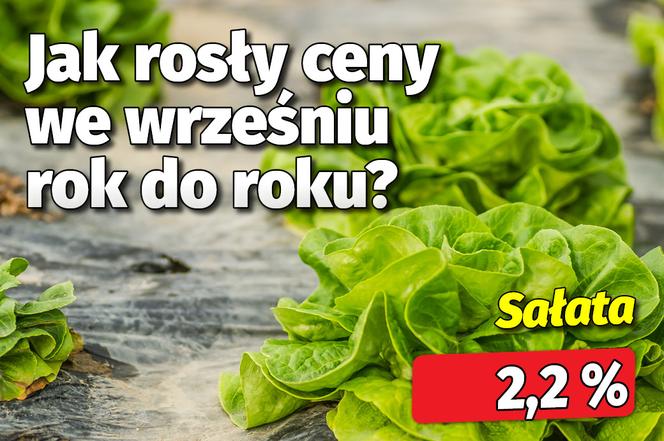 Jak rosły ceny?