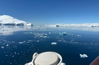 Antarktyda Denys Zinovskyi