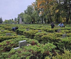 Żołnierze US Army sprzątają groby polskich żołnierzy 