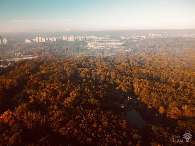 Park Śląski jesienią