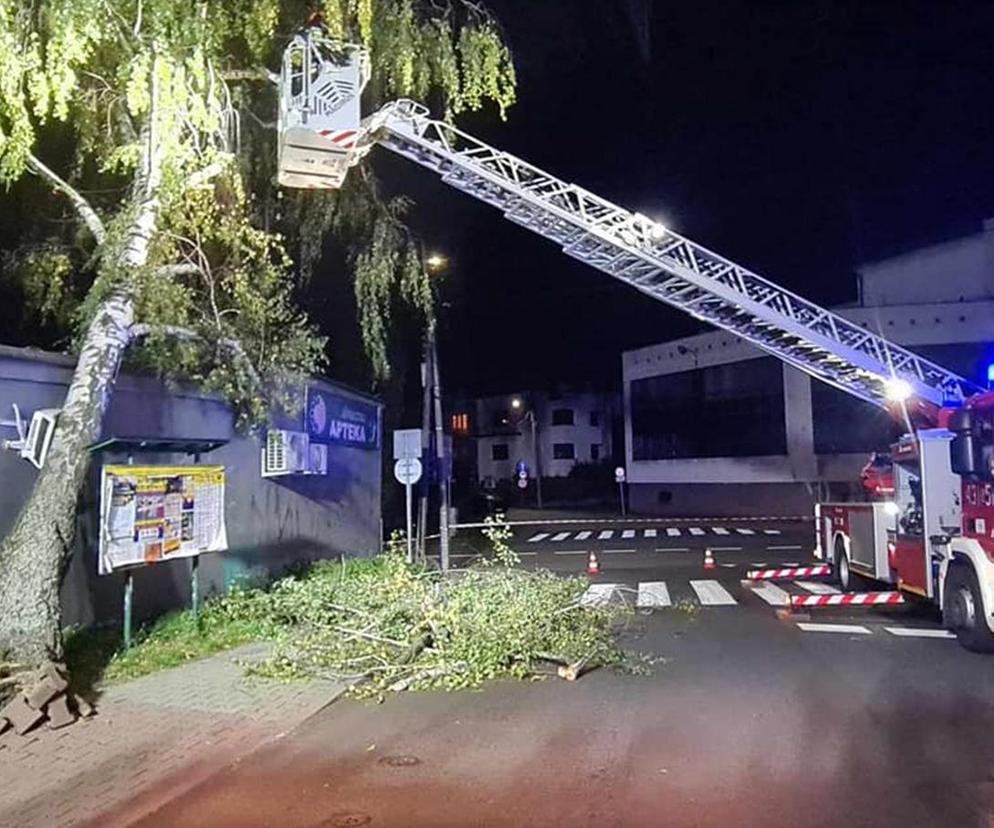 Strażacy usuwają przewrócone drzewo
