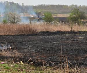 Pożar traw w krakowskiej dzielnicy Dębniki