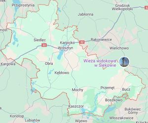 9. Powiat wolsztyński - 495 porodów. Dane GUS z 2023 roku