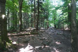 Gołoborza na Łysicy