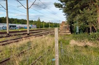 Dzieci bawią się na stercie podkładów kolejowych, sięgają prawie linii energetycznej. Po naszej interwencji jest reakcja PKP PLK