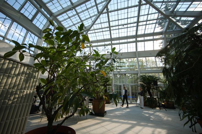 Nowa oranżeria w Ogrodzie Botanicznym UJ. Zastąpiła poprzedniczkę z XIX wieku 