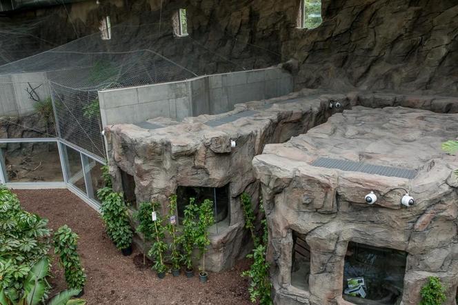 Pawilon lasu deszczowego w Śląskim Ogrodzie Zoologicznym w Chorzowie