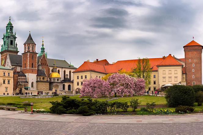 Kraków - zdjęcie dnia