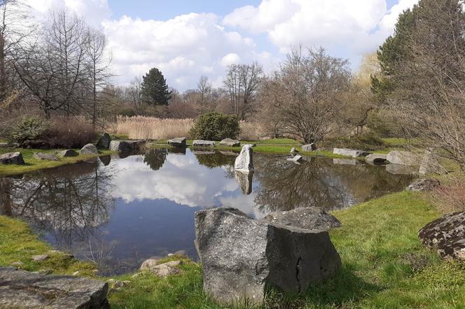 Łódzki Ogród Botaniczny obchodzi 50-lecie. To miejsce rozkwita i czeka na gości