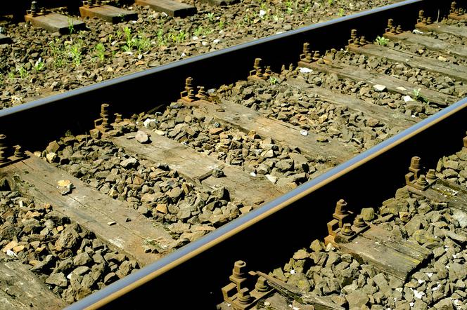 Gdańsk: Śmierć na torach! Pod kołami pociągu zginął człowiek