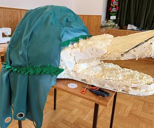 Smoki z Podkarpacia pojechały do Krakowa