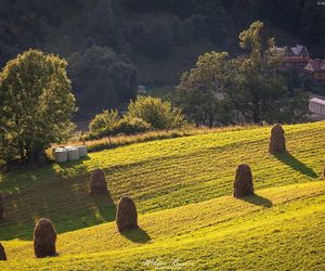 Ta małopolska wieś wymierała dwukrotnie. Dziś to miejscowość uzdrowiskowa 