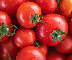 Kalisz. Pomidorowy oszust uznany winnym. Koniec procesu przed Sądem Okręgowym