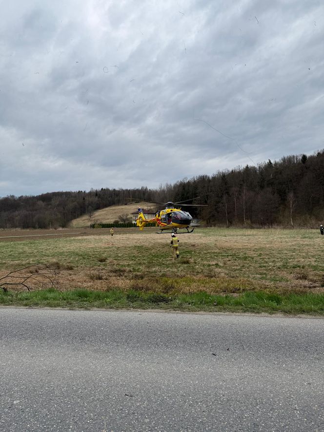 Czermna. Dostawcze IVECO roztrzaskało się na drzewie. Nie żyje kierowca