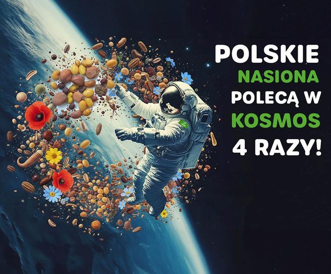 Nasiona spod Kluczborka wylecą w tym miesiącu w kosmos! 