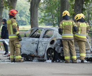 Zwęglone zwłoki w elektrycznym oplu. Samochód uderzył w drzewo i stanął w płomieniach