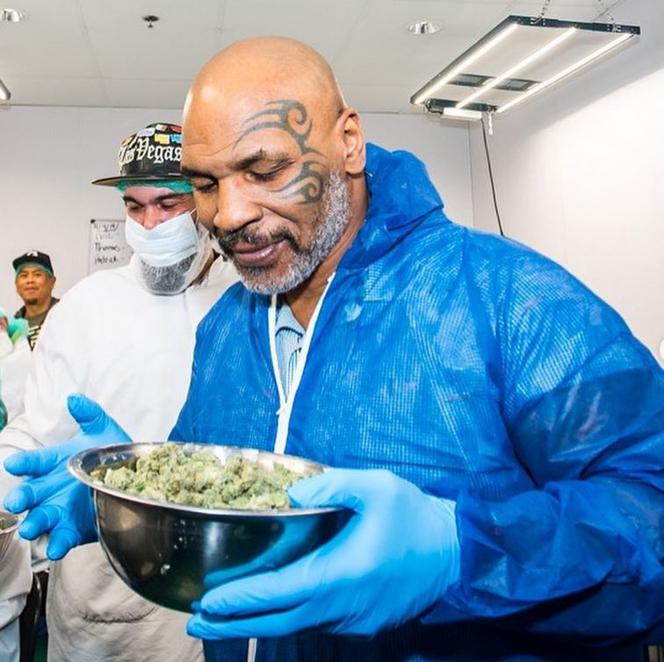 Mike Tyson zapaliłby z Bobem Marleyem