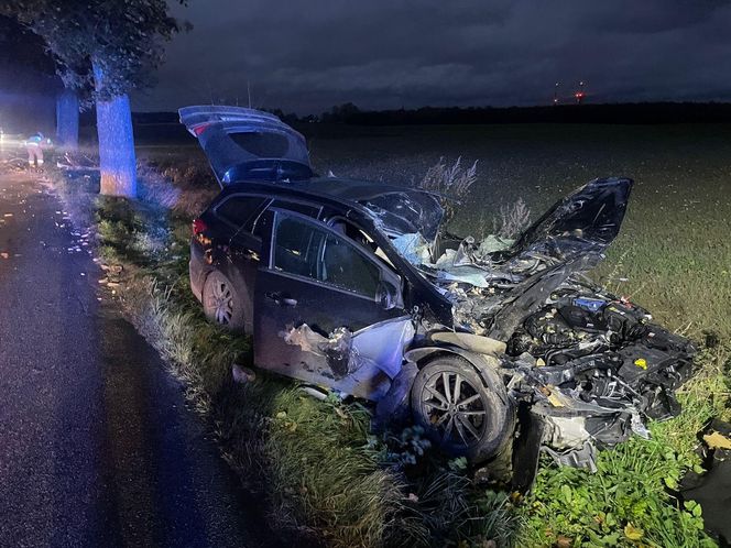 Wichura zmiotła drzewo na samochód. Ojciec i córka poszkodowani