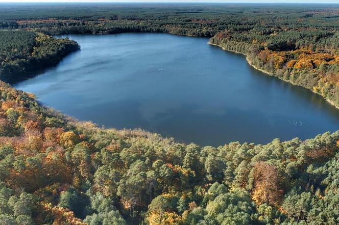 Jezioro Przyłęg