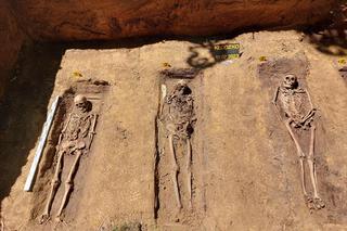 Kilkuset żołnierzy pochowanych w masowym grobie