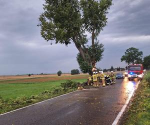 Interwencje po nawałnicach w Nowym Mieście Lubawskim