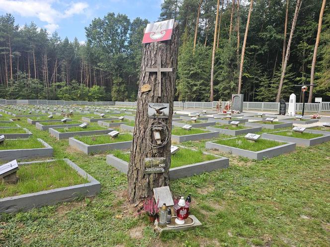  Żydzi zamordowani z Rodzina Ulmów spoczęli w Jagielle 