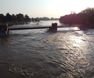 Powódź we Wrocławiu. Tak wygląda Odra w czwartek 19.09.2024 