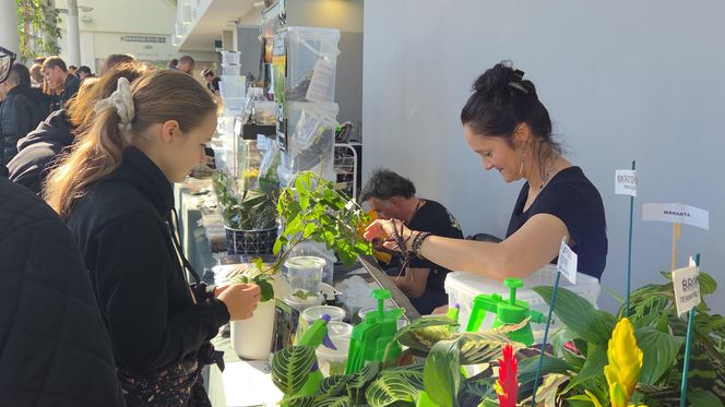 Węże, pająki i dreszczyk emocji w Bydgoszczy! Dragon Expo zachwyciło odwiedzających