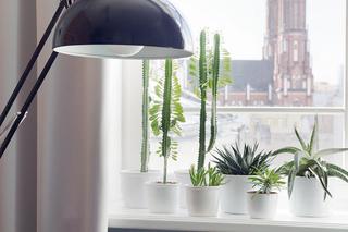 Mieszkanie w przedwojennej warszawskiej kamienicy. Styl vintage z kolorem