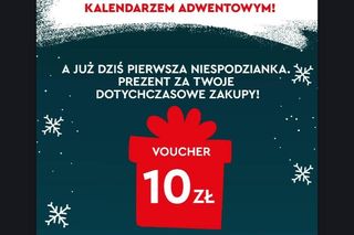 Adwentowa bitwa gigantów: Biedronka i Lidl kuszą klientów codziennymi promocjami