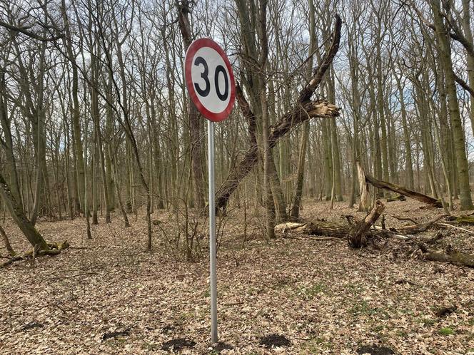 Zmiany w Parku Odrzańskim w Zielonej Górze. Zobacz jak wygląda obecnie