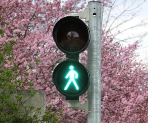 Będzie dodatkowa sygnalizacja świetlna przy ul. Warszawskiej. Miesiąc temu doszło tam do śmiertlengo wypadku. 