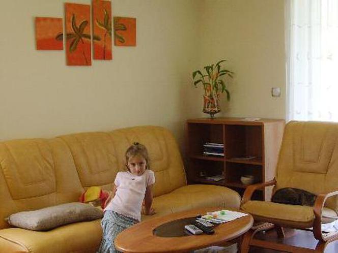 Zdjęcie 4617