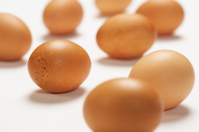 Przechowywanie jajek: jak prawidłowo przechowywać jajka?
