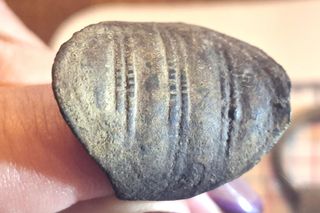 Sensacyjne odkrycie na Mazurach. To prawdopodobnie cmentarzysko ciałopalne