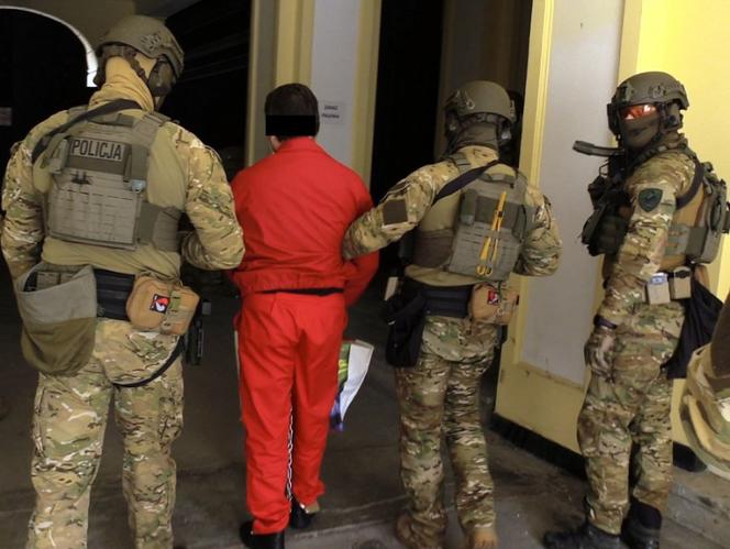 "Fama" zza krat zlecił zabójstwo sędzi, żony prokuratora i świadka? Zatrzymano 5 osób. Wśród nich adwokaci