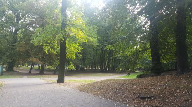 Park Zamkowy i Promenada w Mysłowicach