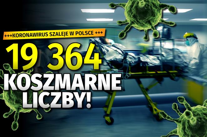 Koronawirus w Polsce: Dziś (3.11) STAN ZACHOROWAŃ PRZEKRACZA 19 TYSIĘCY! Ile nowych zakażeń w woj. łódzkim? [DANE]