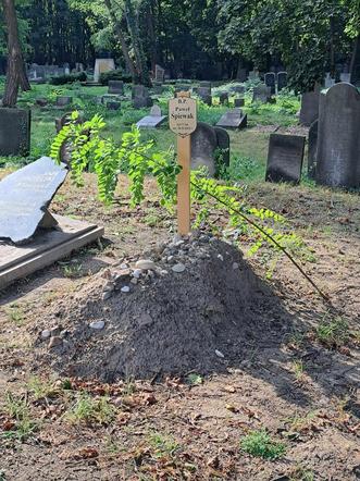 Tak wygląda grób Pawła Śpiewaka pół roku po śmierci. Poruszający widok