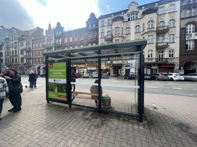 Katowice mają już pierwszy zielony przystanek. Stanął na ulicy Mickiewicza 