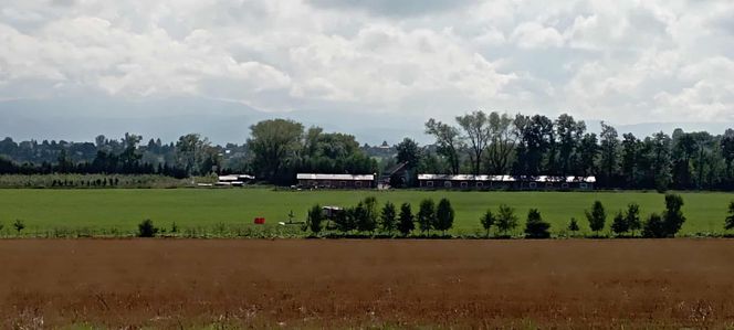 Przeklęty samolot rozbił się trzeci raz