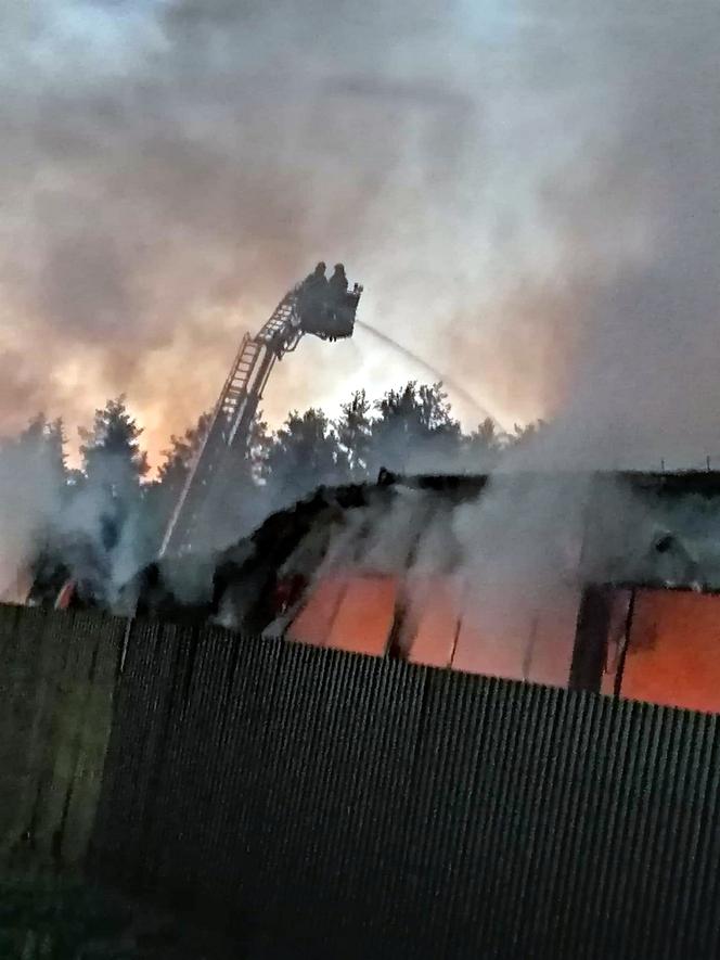 Pożar hali w Rudniku nad Sanem [GALERIA]	