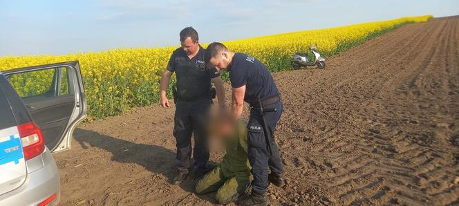 Wielkopolskie. Uciekał przed policją skuterem, a potem pieszo przez pola rzepaku! Policjanci łapali się za głowy  [ZDJĘCIA]