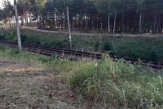 Brzoza Toruńska 40 lat po katastrofie kolejowej