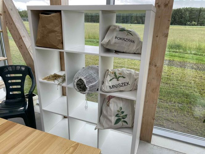 Wyjątkowe miejsce w Wólce Konopnej. Farma toMy dla osób z niepełnosprawnością