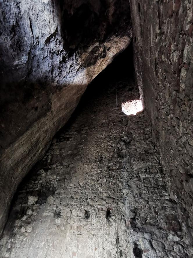 Niezwykłe odkrycie na Jurze. Archeolodzy znaleźli sieć ukrytych jaskiń, a w nich stare szczątki zwierząt [ZDJĘCIA]