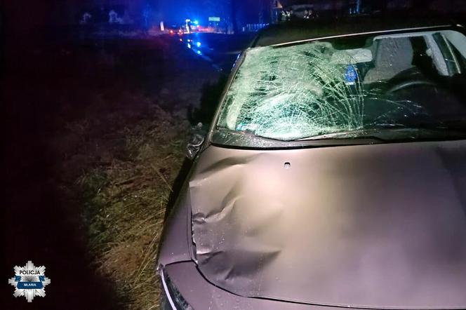 Koszmarny wypadek pod Mławą. Pijany jak bela kierowca śmiertelnie potrącił 42-latka. Alkomat oszalał!