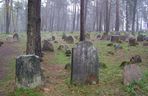 Kruszyniany