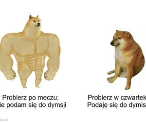 Michał Probierz podał się do dymisji MEMY